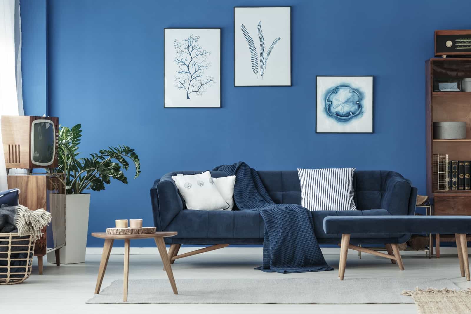 blue theme living room