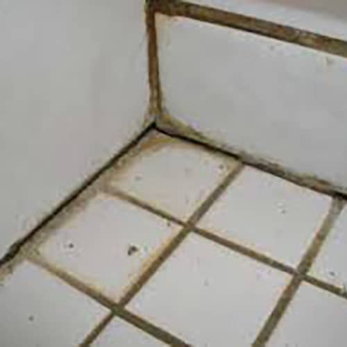 mold grout bathroom tiles
