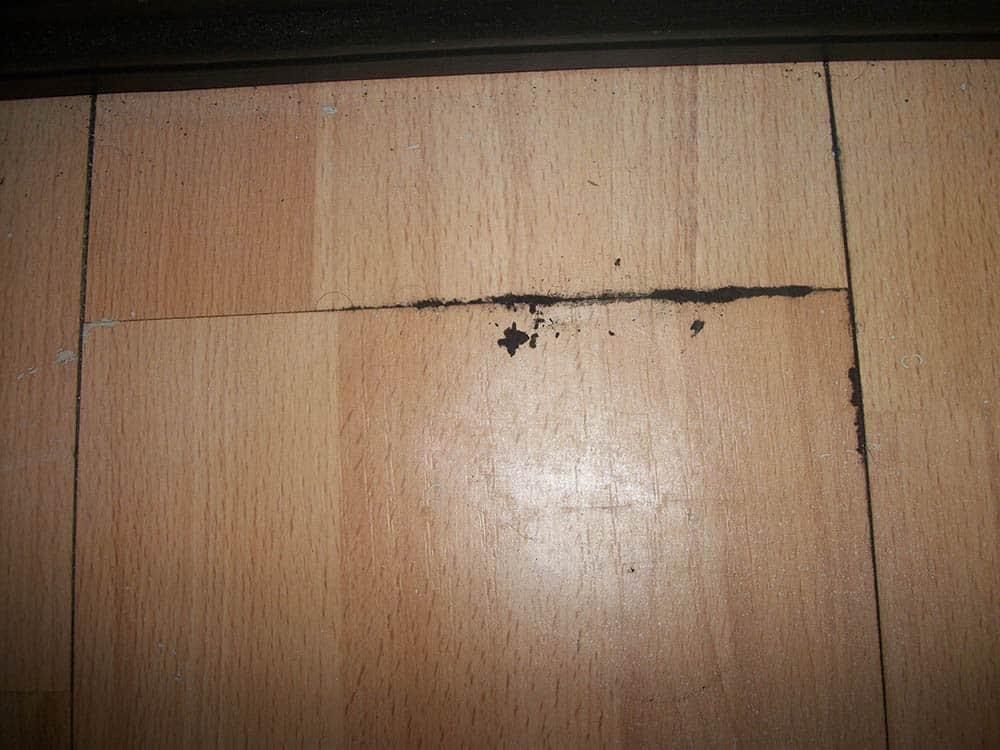 mould in laminate flooring