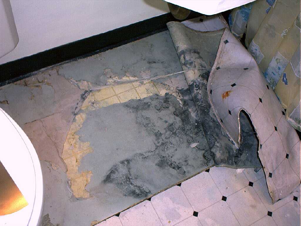 grime under bathroom floor
